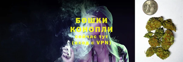 гидра Михайловск