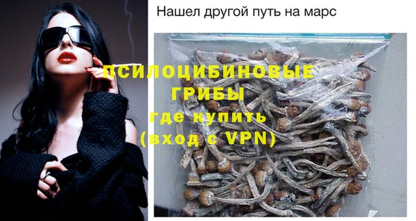 прущие крисы Медвежьегорск
