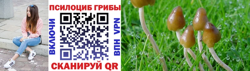 Псилоцибиновые грибы прущие грибы mega рабочий сайт Южа